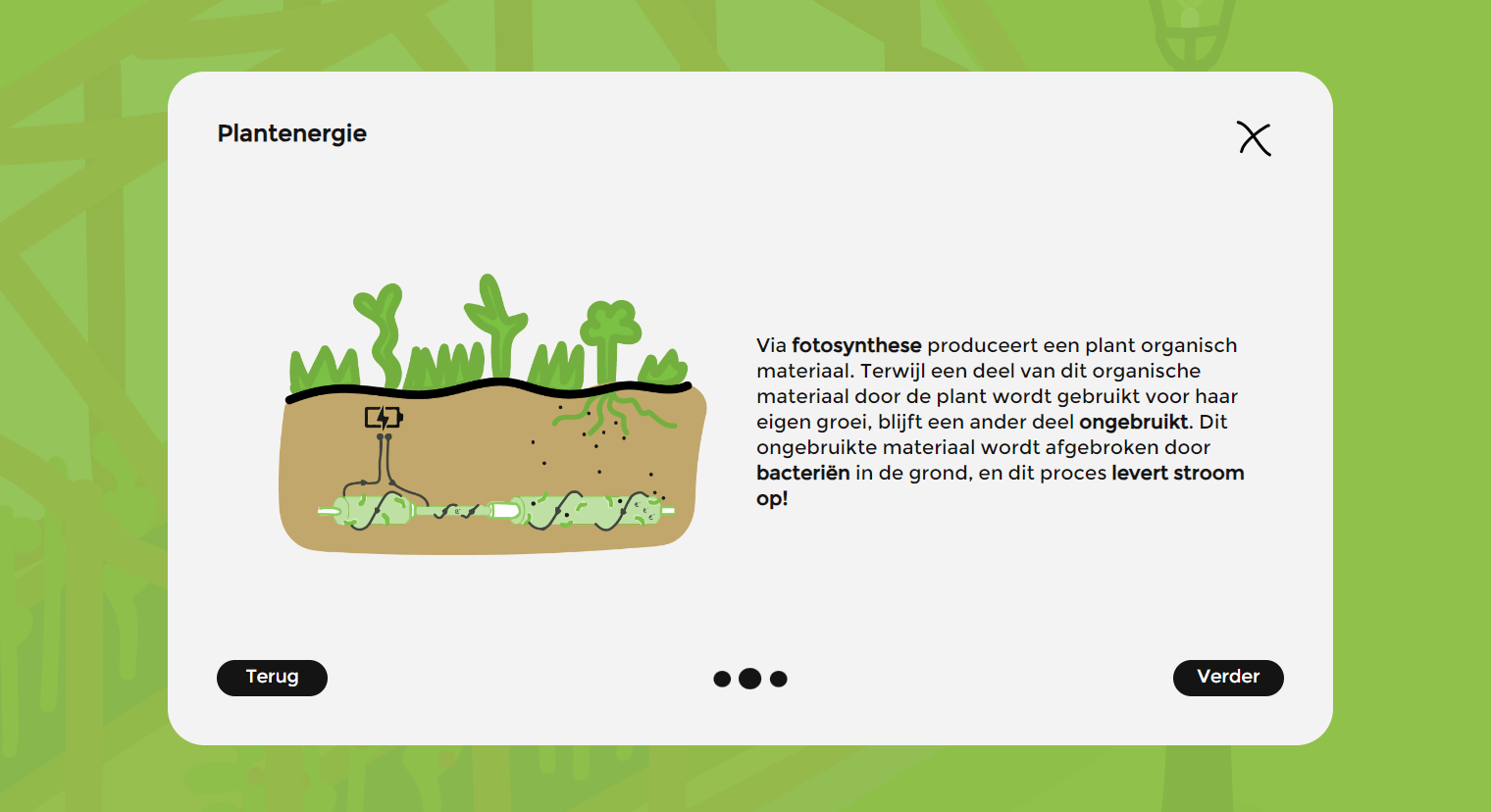 De Proeftuin Image 3